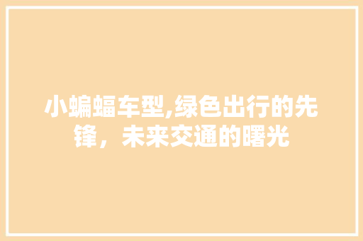 小蝙蝠车型,绿色出行的先锋，未来交通的曙光
