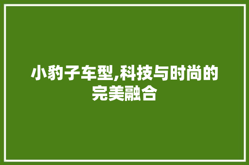 小豹子车型,科技与时尚的完美融合