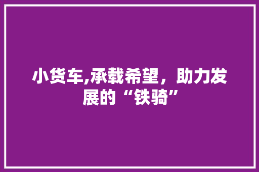 小货车,承载希望，助力发展的“铁骑”