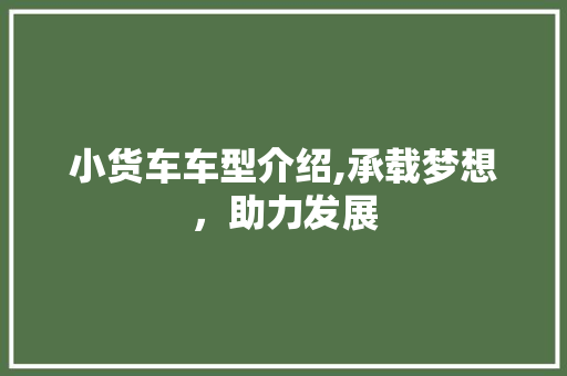 小货车车型介绍,承载梦想，助力发展