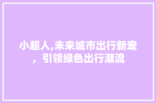 小超人,未来城市出行新宠，引领绿色出行潮流