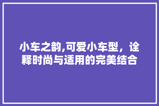 小车之韵,可爱小车型，诠释时尚与适用的完美结合