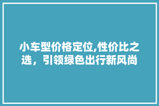 小车型价格定位,性价比之选，引领绿色出行新风尚