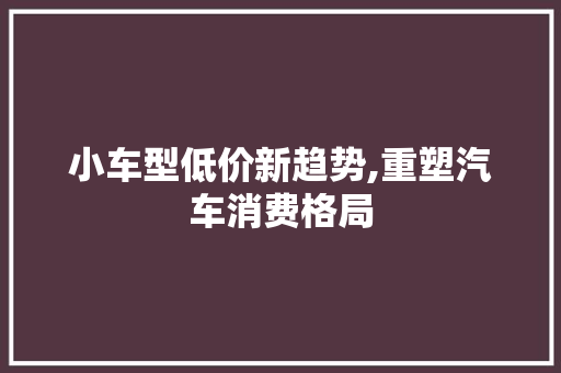 小车型低价新趋势,重塑汽车消费格局