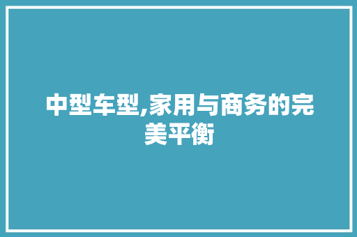 中型车型,家用与商务的完美平衡