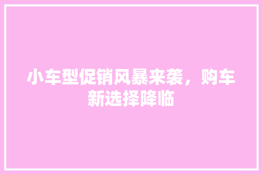 小车型促销风暴来袭，购车新选择降临