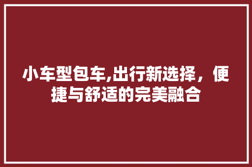 小车型包车,出行新选择，便捷与舒适的完美融合