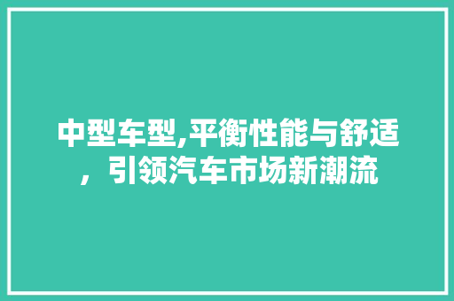 中型车型,平衡性能与舒适，引领汽车市场新潮流