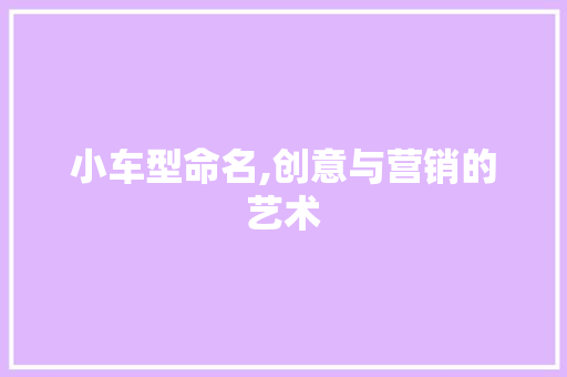 小车型命名,创意与营销的艺术