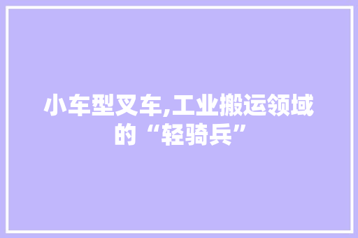 小车型叉车,工业搬运领域的“轻骑兵”