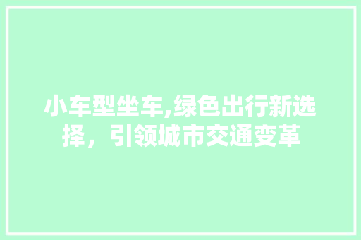 小车型坐车,绿色出行新选择，引领城市交通变革
