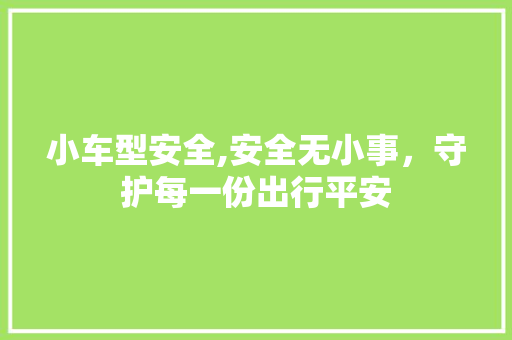 小车型安全,安全无小事，守护每一份出行平安