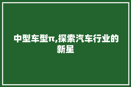 中型车型π,探索汽车行业的新星