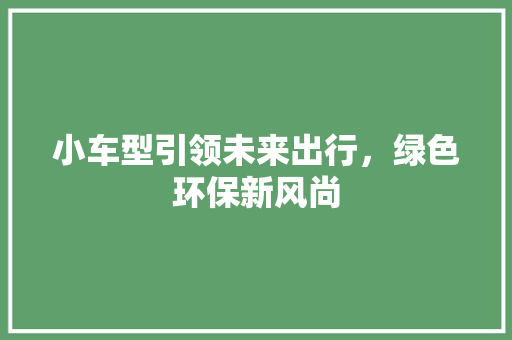 小车型引领未来出行，绿色环保新风尚