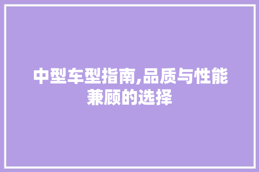 中型车型指南,品质与性能兼顾的选择