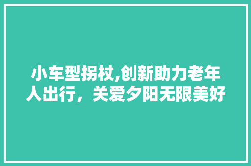 小车型拐杖,创新助力老年人出行，关爱夕阳无限美好