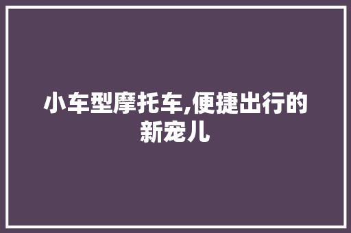 小车型摩托车,便捷出行的新宠儿 底盘配件