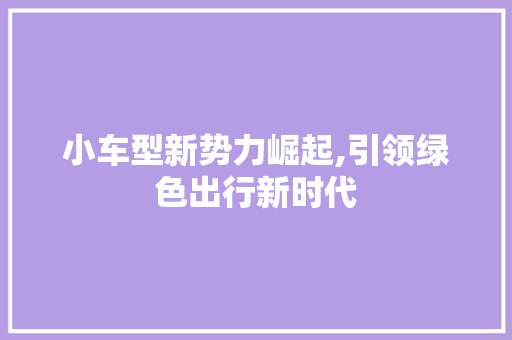 小车型新势力崛起,引领绿色出行新时代