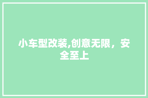 小车型改装,创意无限，安全至上 蓄电池配件