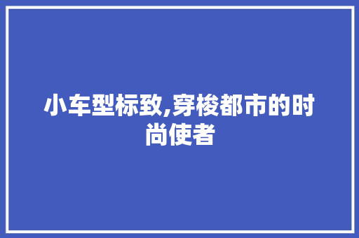 小车型标致,穿梭都市的时尚使者