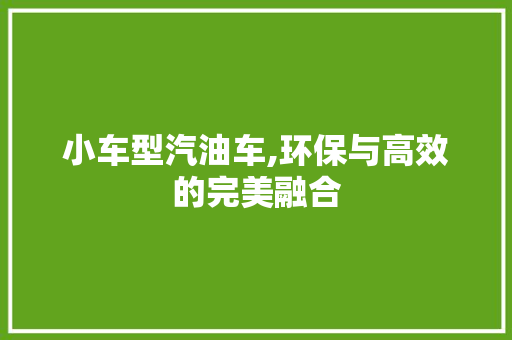 小车型汽油车,环保与高效的完美融合