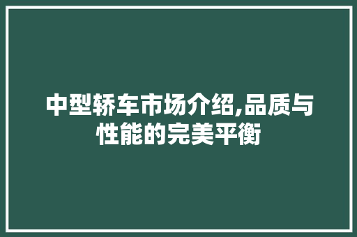 中型轿车市场介绍,品质与性能的完美平衡