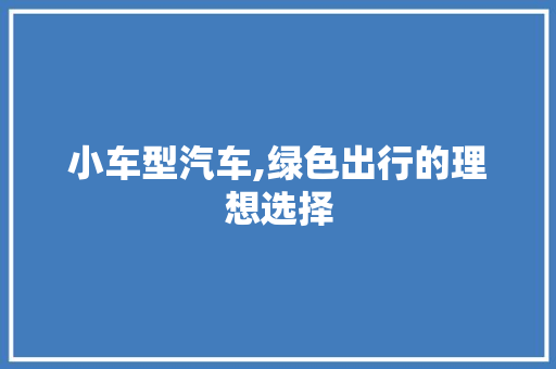 小车型汽车,绿色出行的理想选择