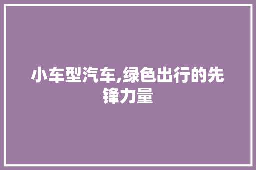 小车型汽车,绿色出行的先锋力量