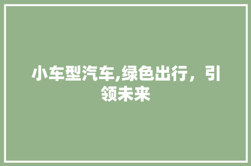 小车型汽车,绿色出行，引领未来 新能源汽车