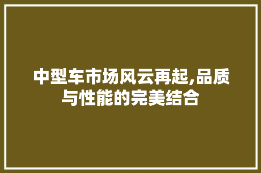 中型车市场风云再起,品质与性能的完美结合