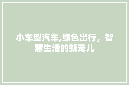 小车型汽车,绿色出行，智慧生活的新宠儿
