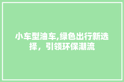 小车型油车,绿色出行新选择，引领环保潮流