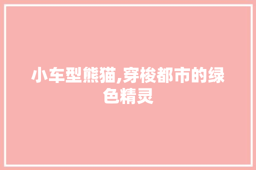 小车型熊猫,穿梭都市的绿色精灵