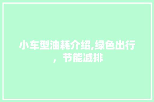 小车型油耗介绍,绿色出行，节能减排