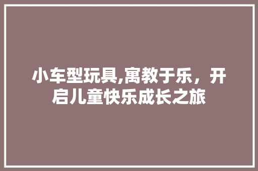 小车型玩具,寓教于乐，开启儿童快乐成长之旅