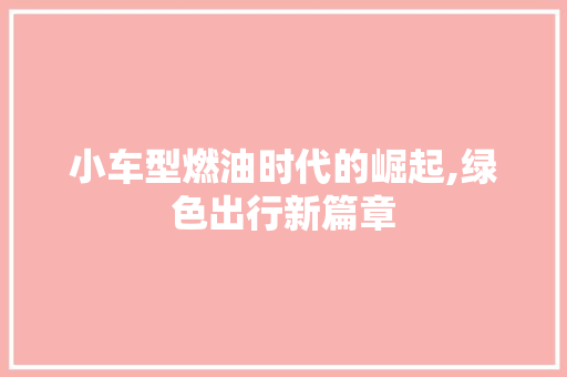 小车型燃油时代的崛起,绿色出行新篇章