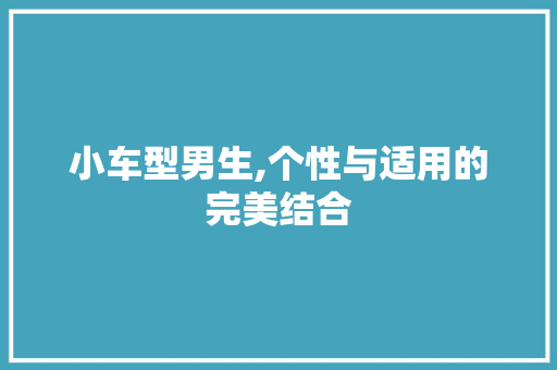 小车型男生,个性与适用的完美结合