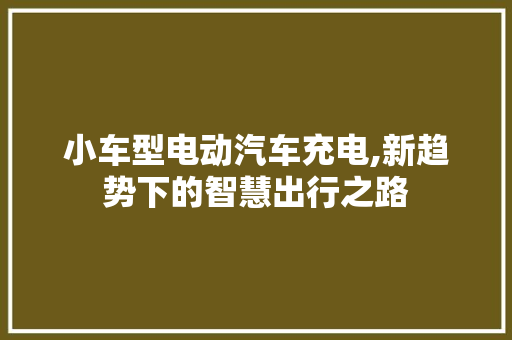 小车型电动汽车充电,新趋势下的智慧出行之路