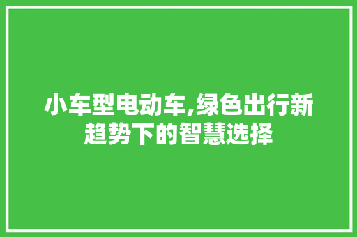 小车型电动车,绿色出行新趋势下的智慧选择