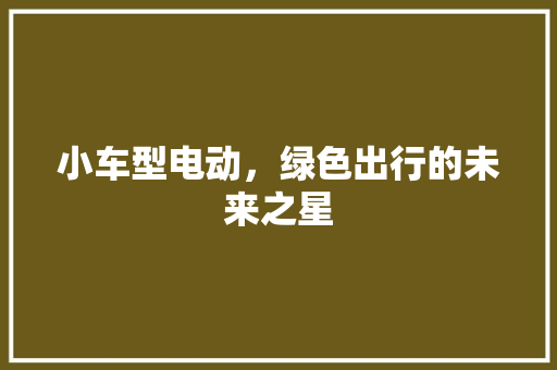 小车型电动，绿色出行的未来之星