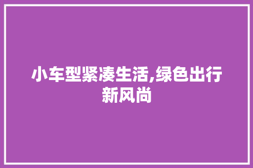 小车型紧凑生活,绿色出行新风尚