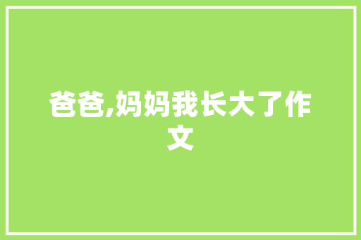小车型红色,引领未来出行新风尚