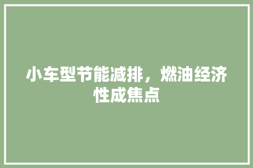 小车型节能减排，燃油经济性成焦点