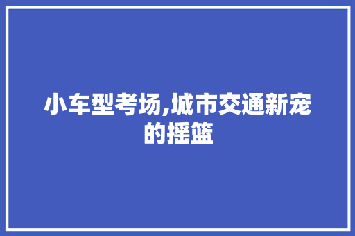 小车型考场,城市交通新宠的摇篮