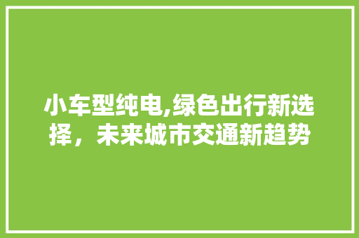 小车型纯电,绿色出行新选择，未来城市交通新趋势