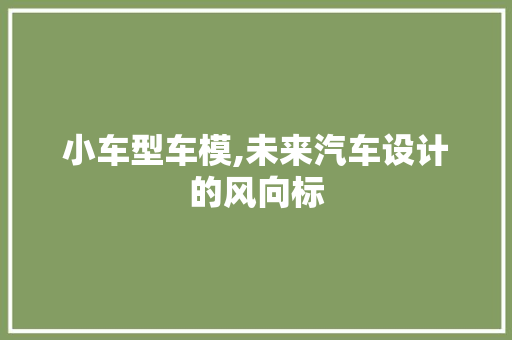 小车型车模,未来汽车设计的风向标
