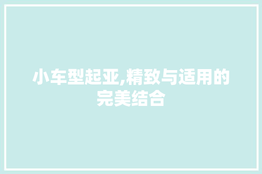 小车型起亚,精致与适用的完美结合