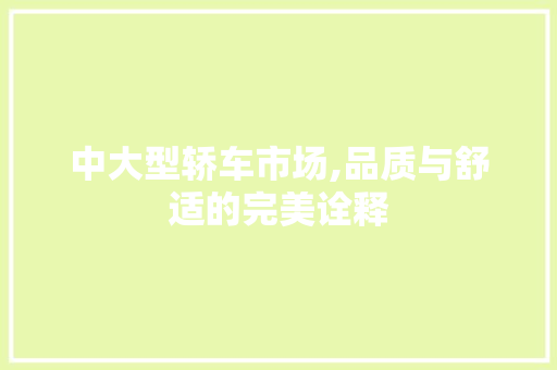 中大型轿车市场,品质与舒适的完美诠释