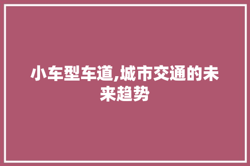 小车型车道,城市交通的未来趋势