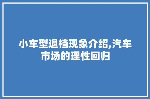 小车型退档现象介绍,汽车市场的理性回归